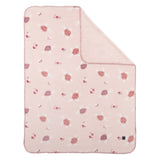 Couverture Peluche Tortues-Perlimpinpin-PER-BL212P-CLÉMENT