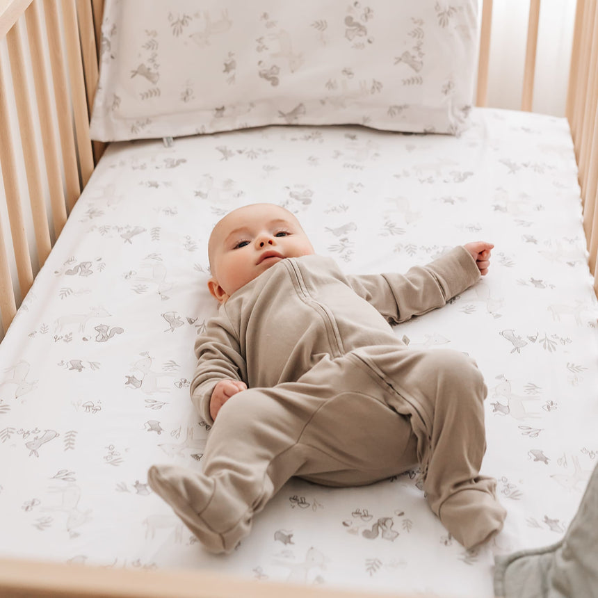 Drap Contour pour Lit de Bébé - Forêt-Perlimpinpin-PER-L2025C-FO-CLÉMENT