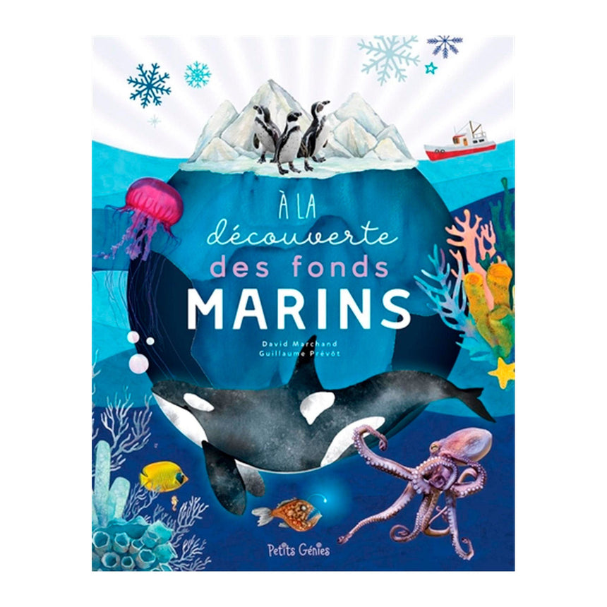 À La Découverte des Fonds Marins-Prologue-PRL-A135639-CLÉMENT