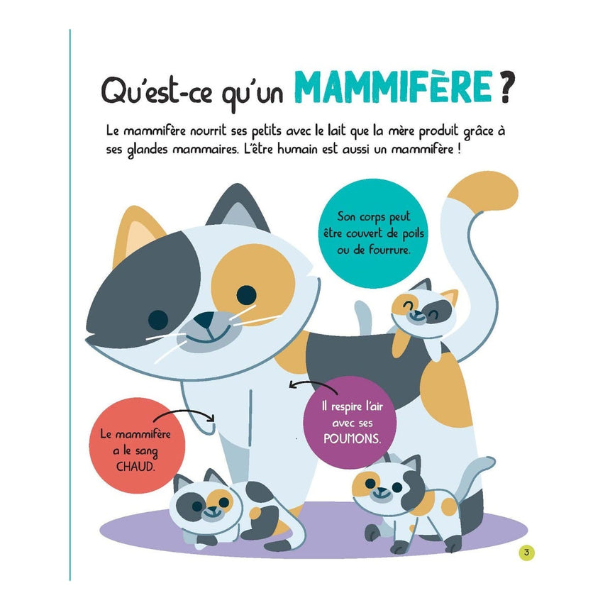 Mon Encyclopetit des Animaux-Prologue-PRL-A098816-CLÉMENT