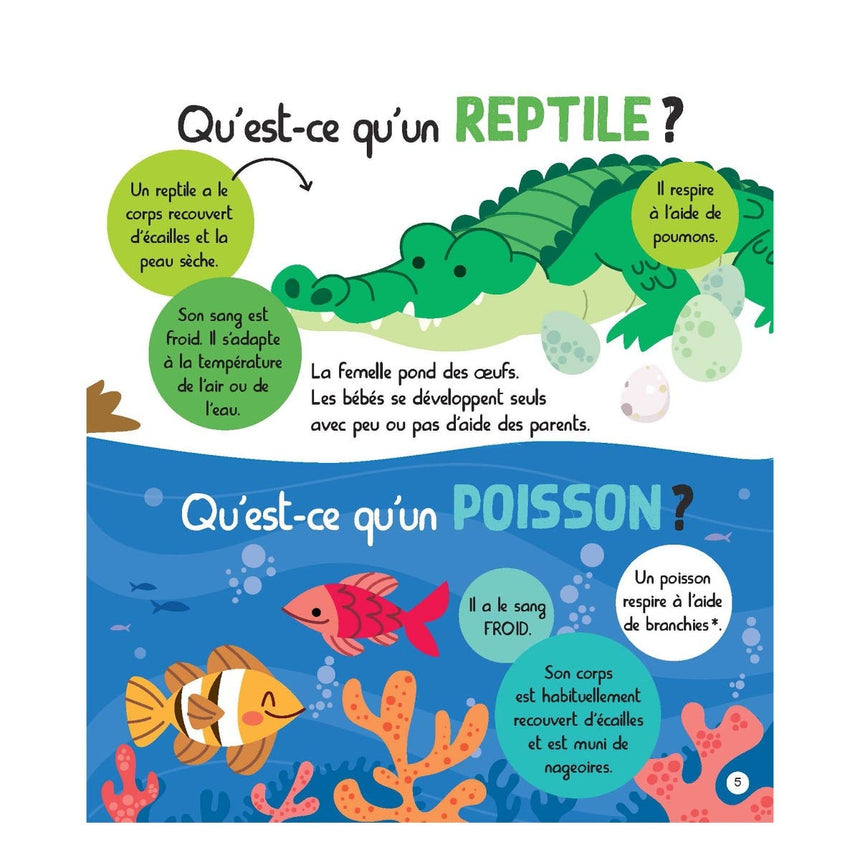 Mon Encyclopetit des Animaux-Prologue-PRL-A098816-CLÉMENT