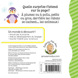 Animaux Rabats Surprises-Presse Aventure-PSA-782898451256-CLÉMENT