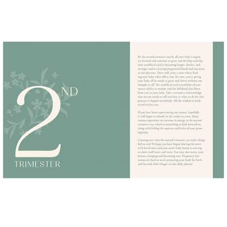 Growing Together Pregnancy Journal-Raincoast-RAC-781797239514-CLÉMENT