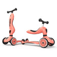 Trottinette 2-en-1 Highwaykick 1 - Pêche-Scoot and Ride-RD2-K1-160629-PE-CLÉMENT