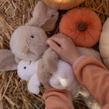 Frankie Le Lapin Câlin - Caramel-Snuggle Bunnies-SNB-SB-FRANK-CAR-CLÉMENT