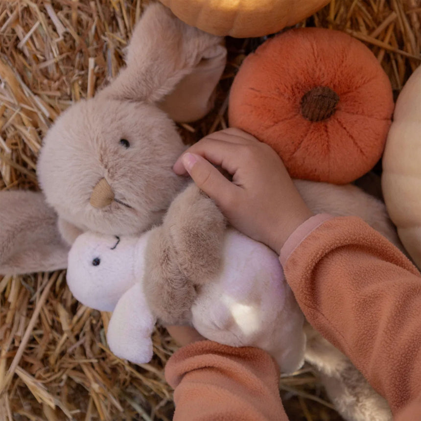 Frankie Le Lapin Câlin - Caramel-Snuggle Bunnies-SNB-SB-FRANK-CAR-CLÉMENT