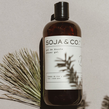 Gel de douche - Écorce de pin + Cèdre-SOJA&CO.-SOJ-SOJAGB23-CLÉMENT