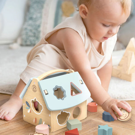 Trieur de Formes Maison-Speedy Monkey-SPM-SP1006-CLÉMENT