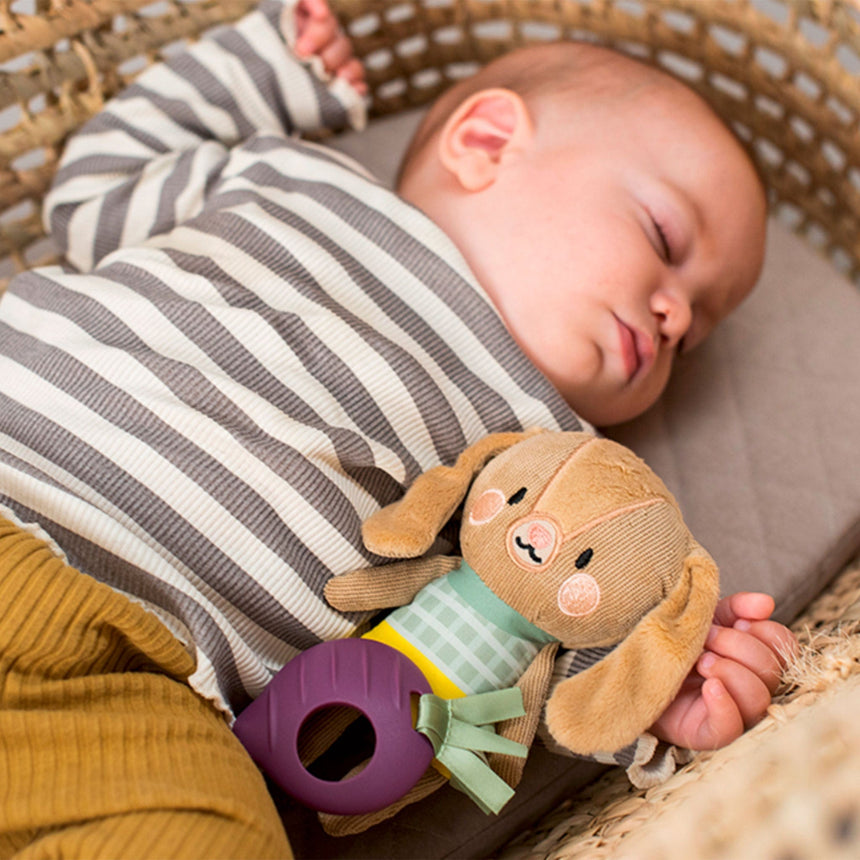 Hochet Jenny Le Lapin-Taf Toy-TAF-78812995-CLÉMENT