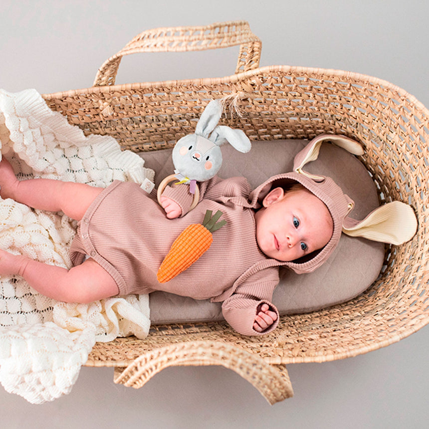 Hochet Rylee Le Lapin-Taf Toy-TAF-78813025-CLÉMENT