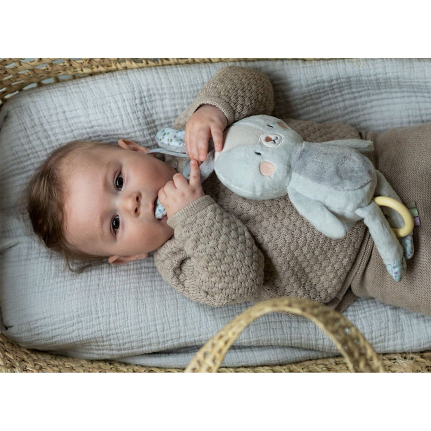 Lapin Musical-Taf Toy-TAF-78813165-CLÉMENT