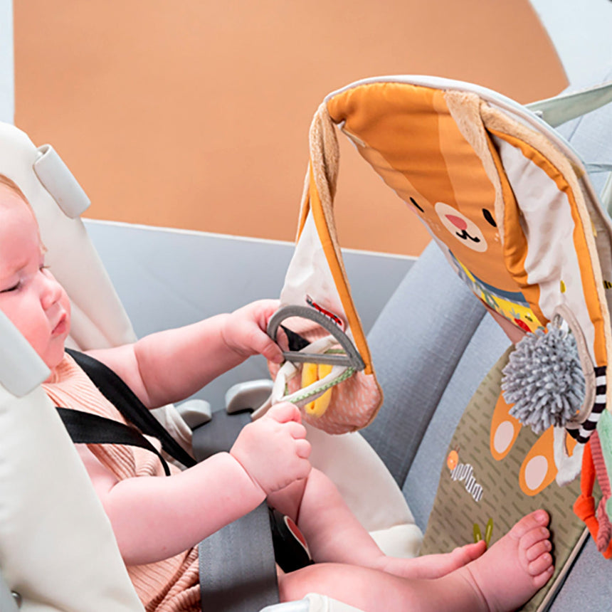 Jouet d'Auto Intéractif - Lapin-Taf Toy-TAF-78813325-CLÉMENT