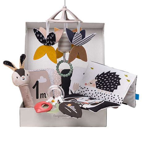 Ensemble de Départ 10 Pièces - Noir Et Blanc-Taf Toy-TAF-78813475-CLÉMENT
