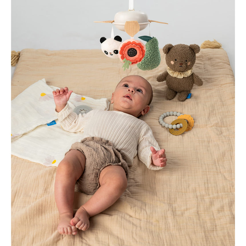 Ensemble Nouveau-né de Luxe-Taf Toy-TAF-78813515-CLÉMENT