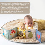 Livre Câlin Avec Ourson-Taf Toy-TAF-78813795-CLÉMENT