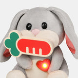 Prenez Soin Maman Lapin - Sons et Lumières-Top Bright-TBR-583121172-CLÉMENT