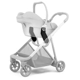 Adaptateur Shine pour Maxi-cosi / Nuna / Cybex-Thule-THU-11400502-CLÉMENT