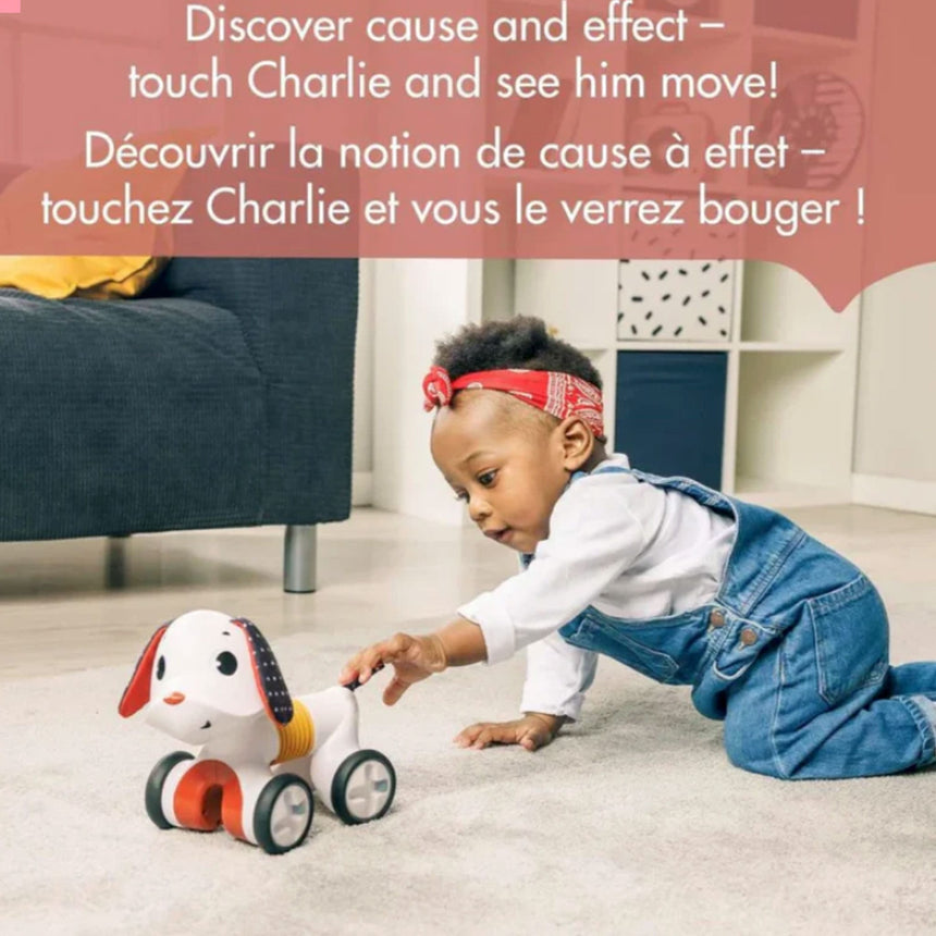 Chien Musical/Rotatif Tiny Rocker-Tiny Love-TLO-TO146HDH0400-CLÉMENT