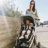 Cabaret Pour Poussette Vista/Cruz-UPPAbaby-UPP-0212-CLÉMENT