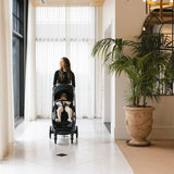 Poussette Cruz V3 - James-UPPAbaby-UPP-0403CRZNAJMS-CLÉMENT