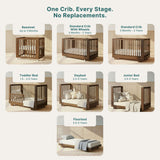 Spirit 8-in-1 Convertible Crib-  Walnut