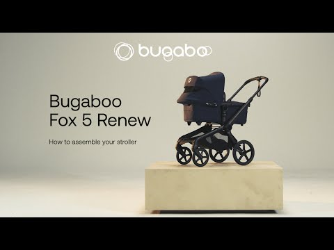 Fox5 Renew Complete Stroller - Black / Black